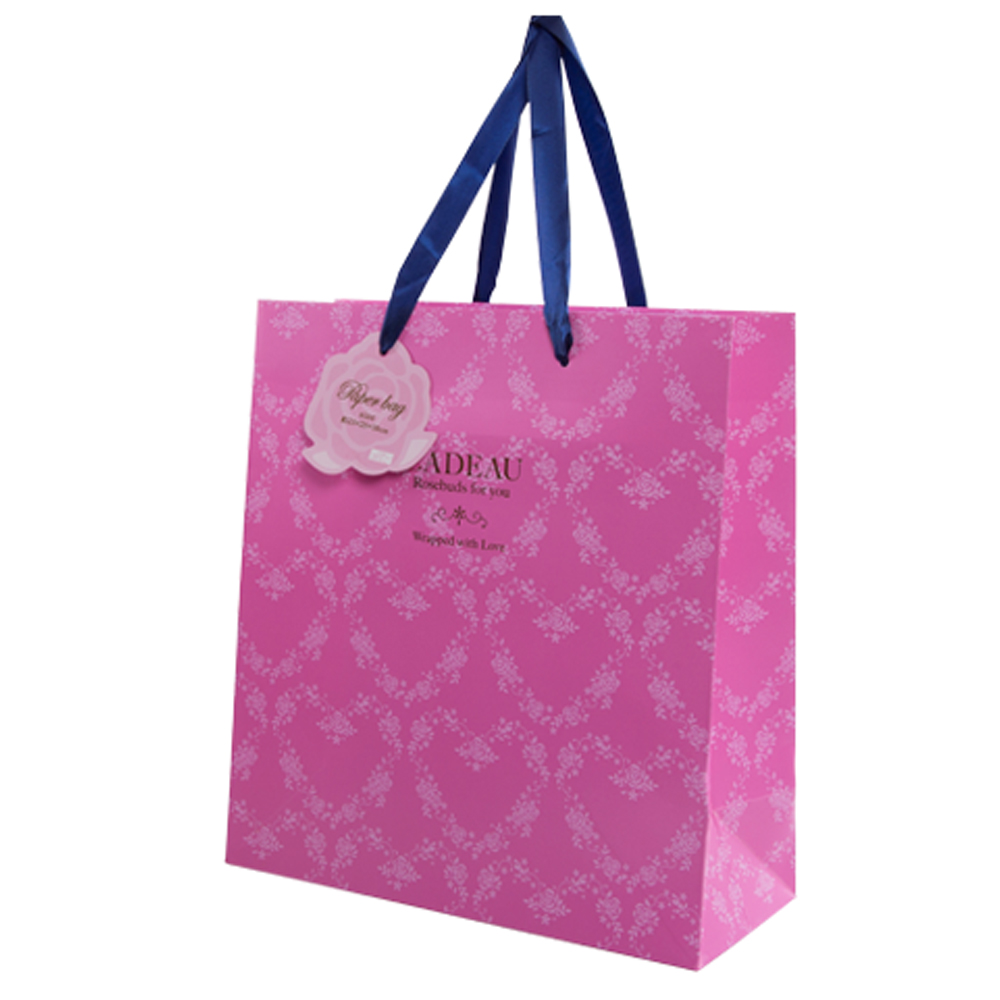 Gift Bags – Daiso Me