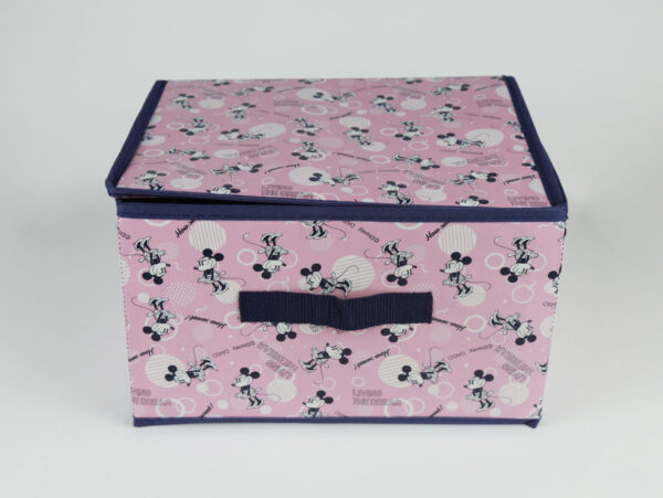 Pink-minnie-mouse-storage-box